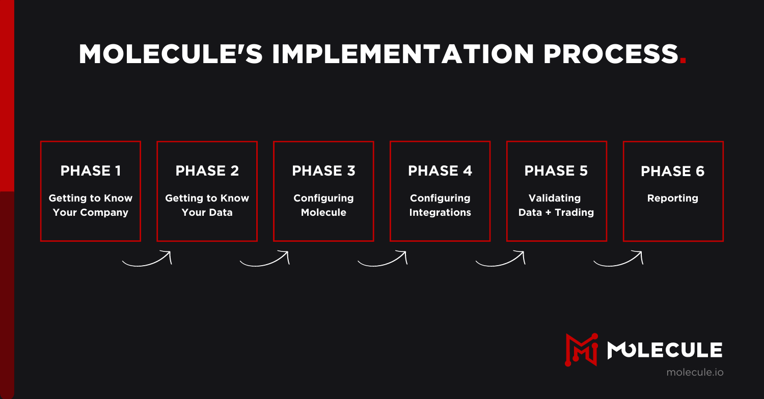 Graphic of Molecule ETRM system implementation process: a phase-by-phase visualization  