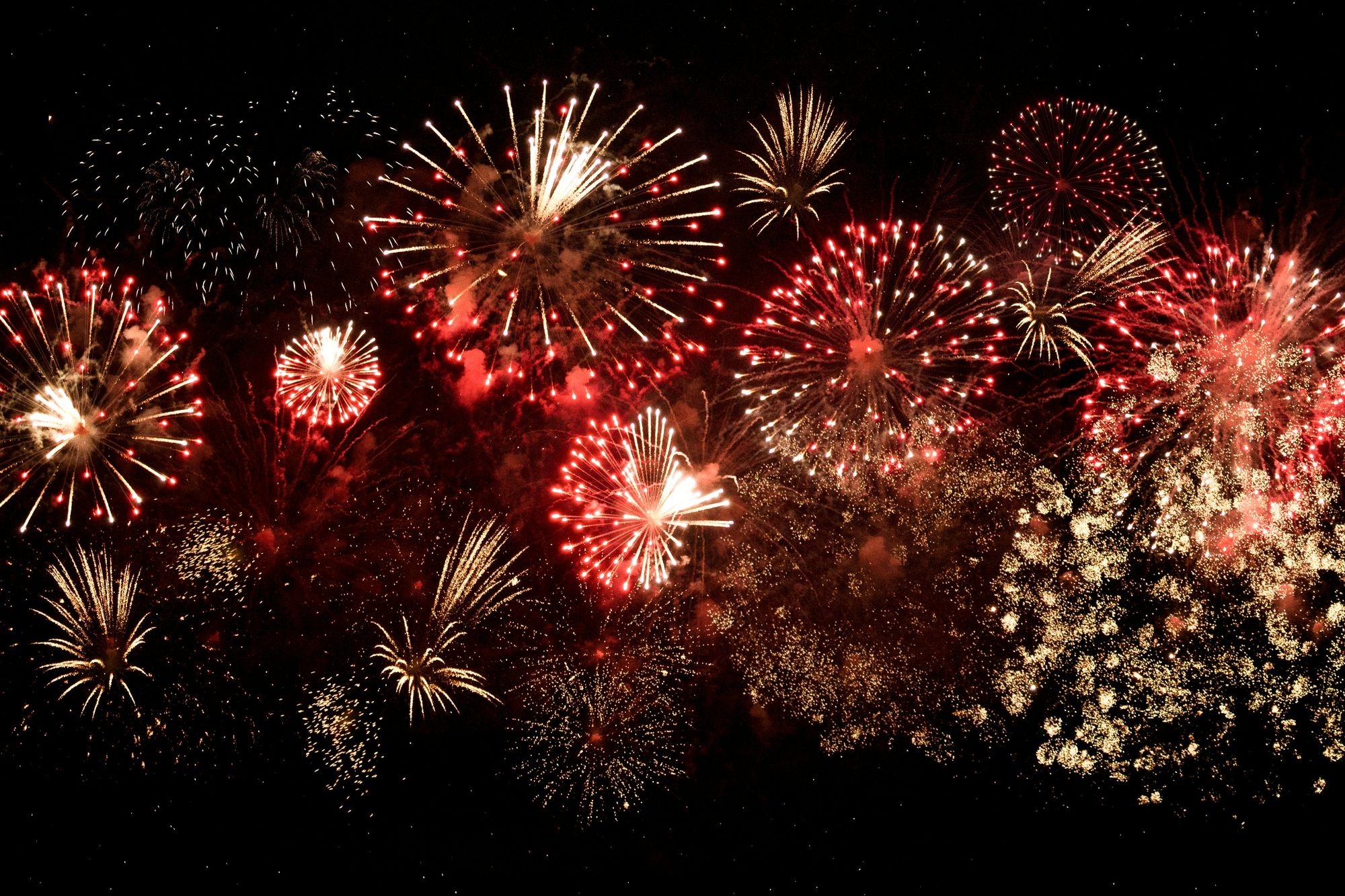 Red and gold fireworks against a dark sky