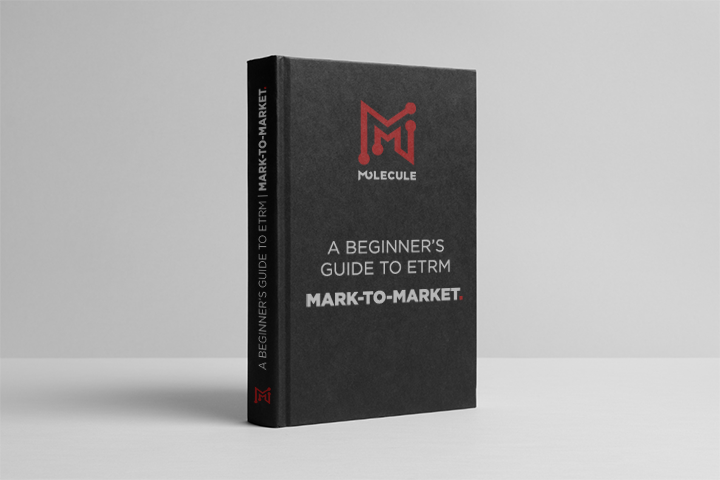 A book titled "A Beginner's Guide to ETRM: Mark-to-Market"